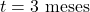 Rendered by QuickLaTeX.com t = 3 \text{ meses}